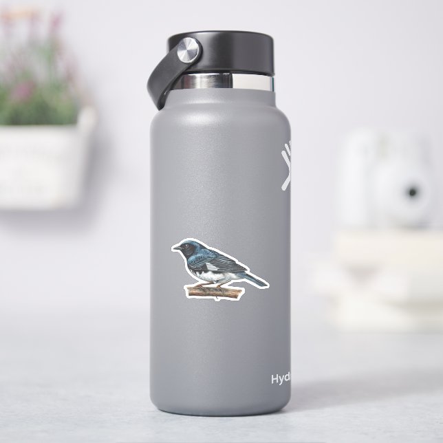 Adesivo Vinheta de Warbler Azul com gargalo preto (HidroFlask)