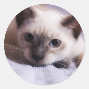 Adesivo Vinheta delicada