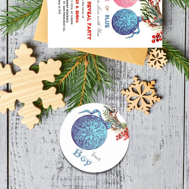 Adesivo Vinheta do Grupo de Inverno do Sexo de Inverno (Criador carregado)