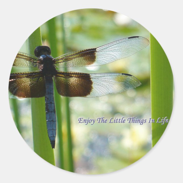 Adesivo Vinheta Dragonfly Azul (Frente)