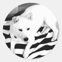 Vinheta Eno Preto e Branco