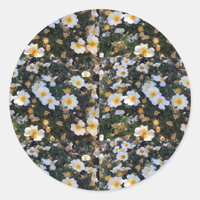 Adesivo Vinheta flexível (Frente)