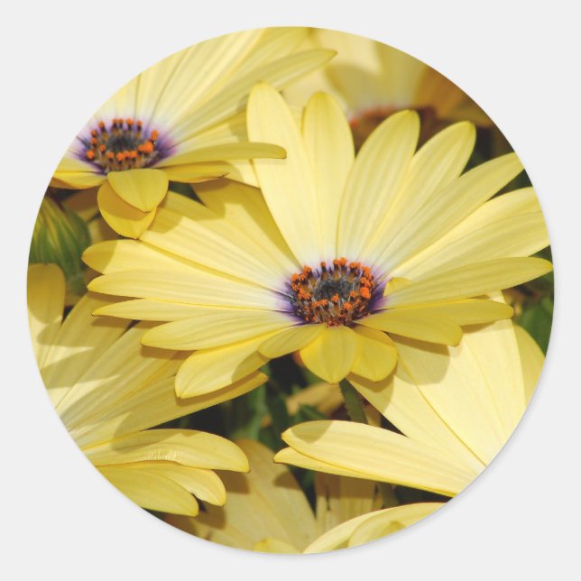 Adesivo Vinheta Flor (Frente)