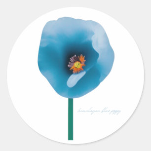 Adesivo Vinheta Flor Azul Himalaia Azul