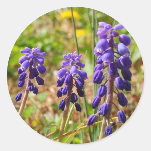 Adesivo Vinheta Flor de Buchas Roxas (Frente)