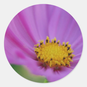 Adesivo Vinheta Floral