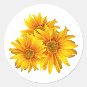 Adesivo Vinheta Floral de Girassol Amarelo / Selo