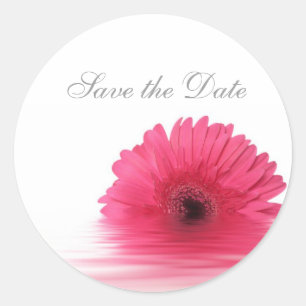 Adesivo Vinheta Floral Personalizada Daisy