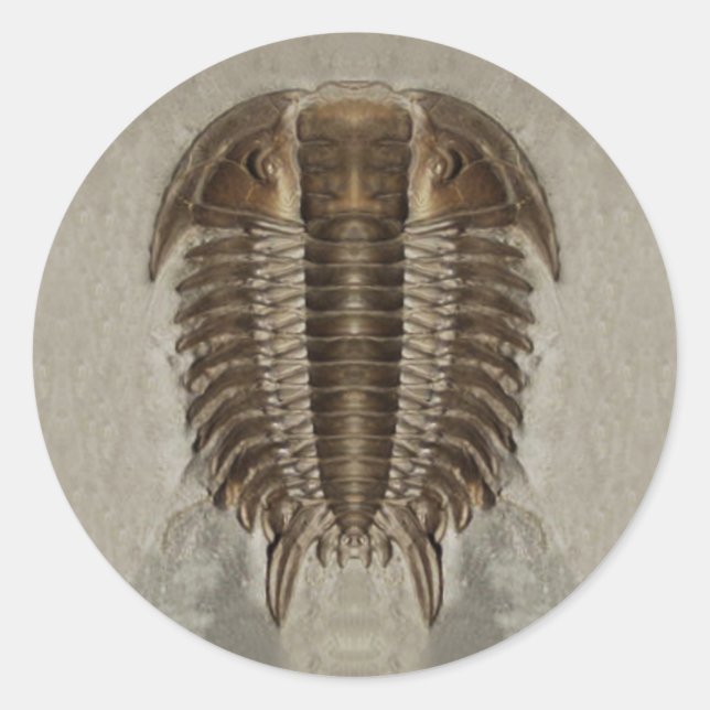 Adesivo Vinheta Fóssil Trilobita (Frente)