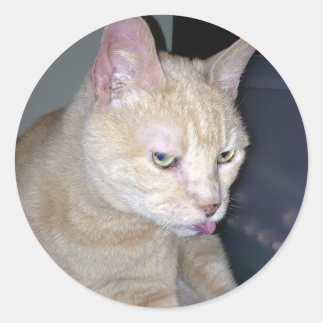 Adesivo Vinheta Framboesa Inchada (Frente)