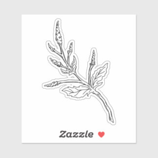 Adesivo Vinheta Herbo Mugwort