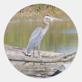 Adesivo Vinheta Heron Azul
