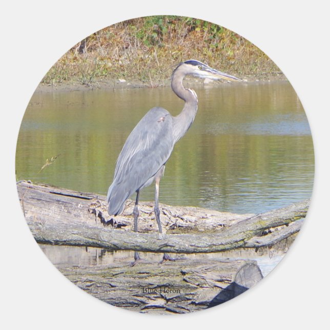 Adesivo Vinheta Heron Azul (Frente)