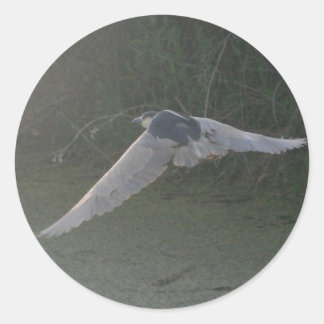 Adesivo Vinheta-Heron Noturno-Coroa-Preta