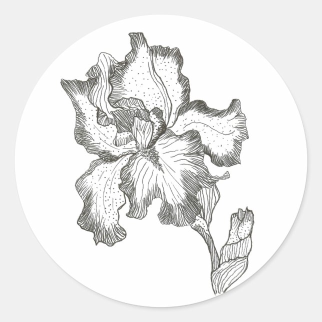 Adesivo Vinheta Iris (Frente)