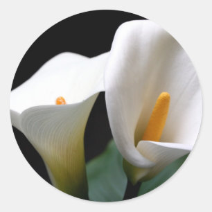 Adesivo Vinheta Lily Flor White Calla