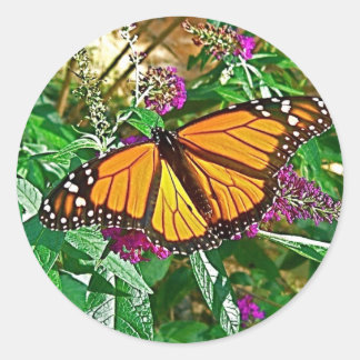 Adesivo Vinheta Monarca Butterfly