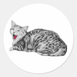 Adesivo Vinheta Monocromática de Gata Yawning com Tong Ver