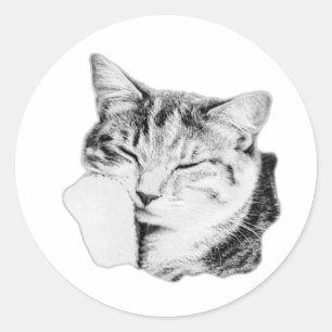 Adesivo Vinheta Monocromática de Gato Dormindo
