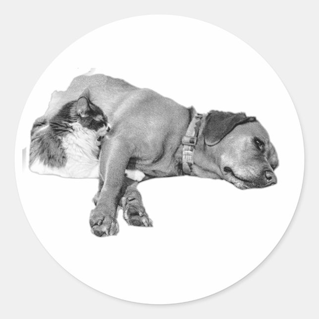 Adesivo Vinheta monocromática para cães e gatos (Frente)