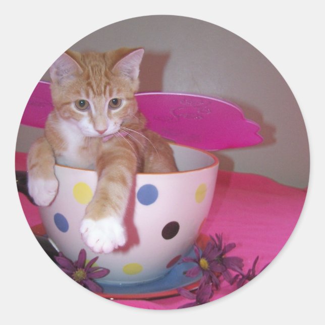 Adesivo Vinheta para fadas (Frente)