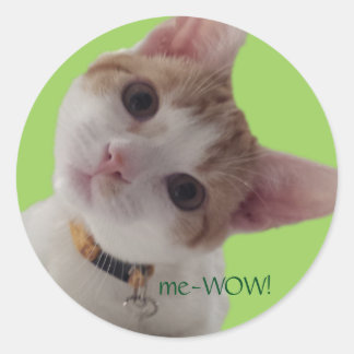 Adesivo Vinheta Personalizável de Bom Trabalho para Cat Cu