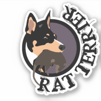 Adesivo Vinheta Rat terrier