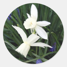 Adesivo Vinheta redonda branca Thalia Daffodils