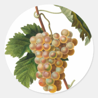 Adesivo Vinheta redonda Chasselat de Fontainebleau