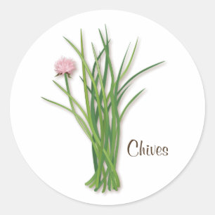 Adesivo Vinheta redonda Chives