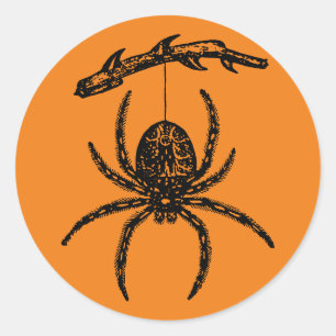 Adesivo Vinheta redonda clássica de aranha laranja Hallowe