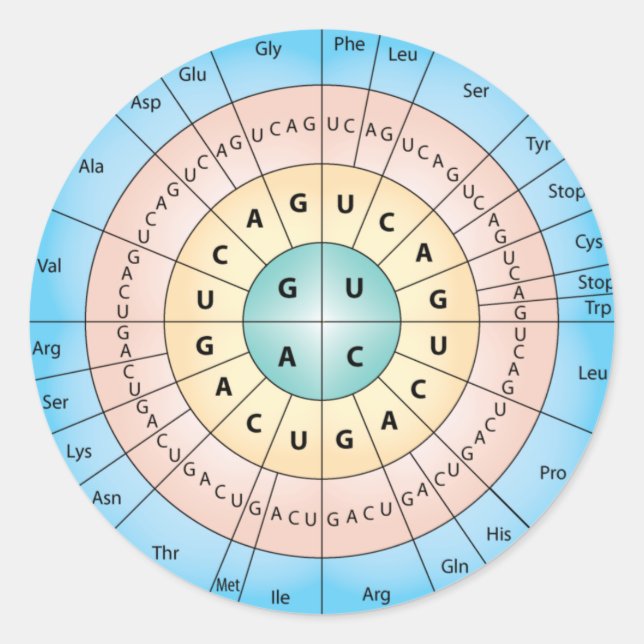 Adesivo Vinheta redonda clássica de código genético (Frente)