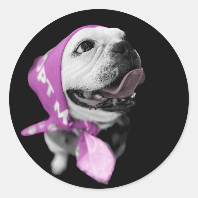 Adesivo Vinheta redonda clássica do cão de salvação (Frente)