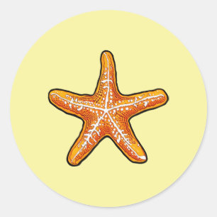 Adesivo Vinheta redonda clássica Starfish