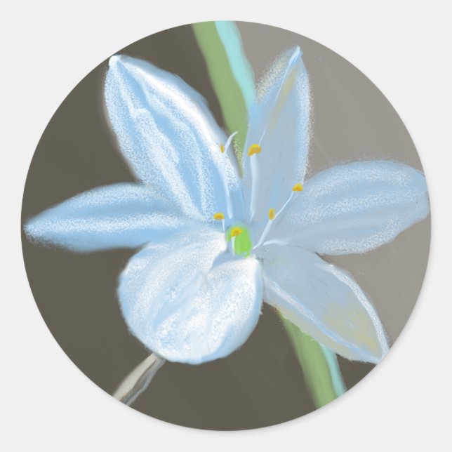 Adesivo Vinheta redonda com flor de floração em tiras (Frente)