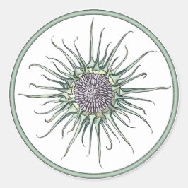 Adesivo Vinheta redonda de círculo e de ventilador de níve