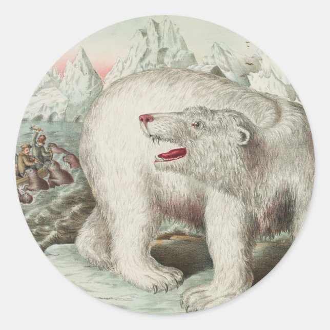 Adesivo Vinheta redonda de Poster de Urso Polar (Frente)
