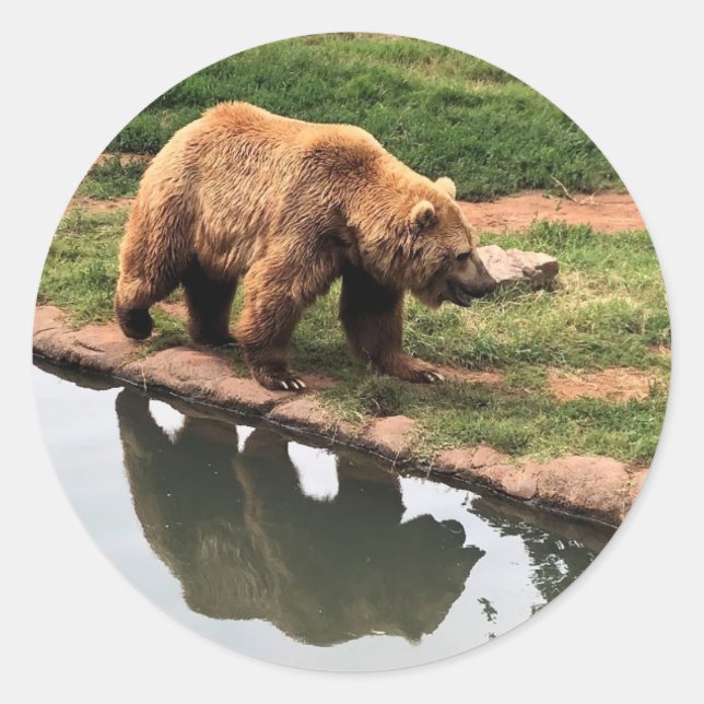 Adesivo Vinheta redonda de urso grizzly (Frente)