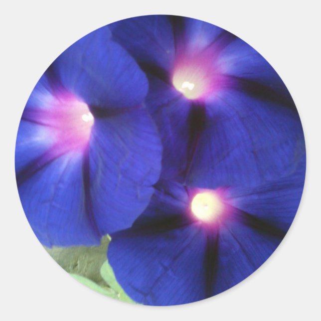 Adesivo Vinheta redonda floral (Frente)