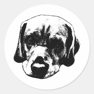 Adesivo Vinheta Retrato Preto e Branco Fechado do Labrador