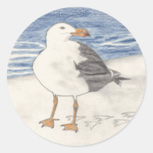 Vinheta SEAGULL (redonda)