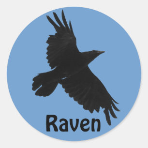 Adesivo Vinheta Selvagem de Raven Birdlover Negro