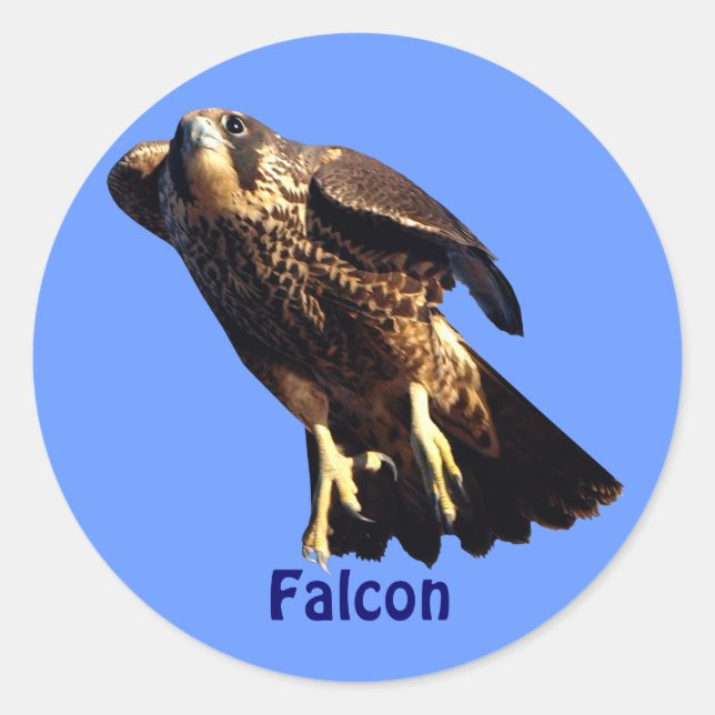 Adesivo Vinheta Selvagem do Raptor Falcon Birdlover (Frente)