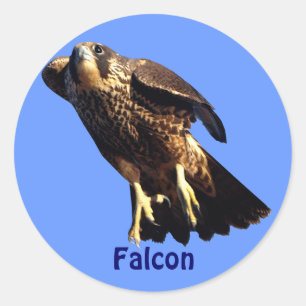 Adesivo Vinheta Selvagem do Raptor Falcon Birdlover