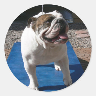 Adesivo Vinheta Titã