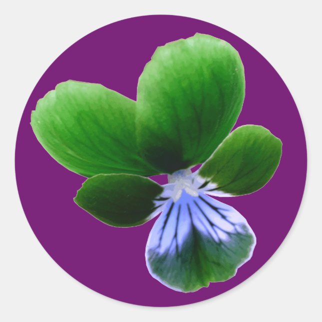 Adesivo Vinheta verde (Frente)