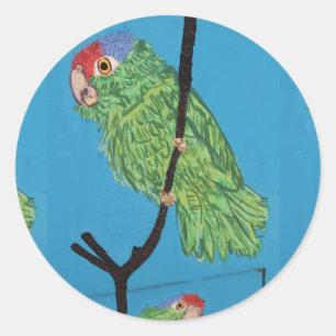 Adesivo vinheta verde de papagaio