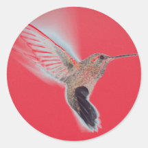 Vinheta VERMELHA HUMMINGBIRD