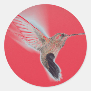 Adesivo Vinheta VERMELHA HUMMINGBIRD