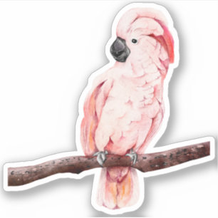 Adesivo Vinheta-Vinha-De-Corte Personalizado De Cockatoo M